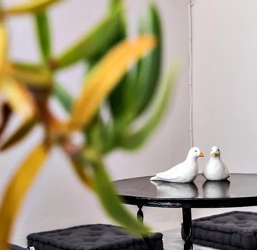 بيت ضيافة Aleka's Tínos